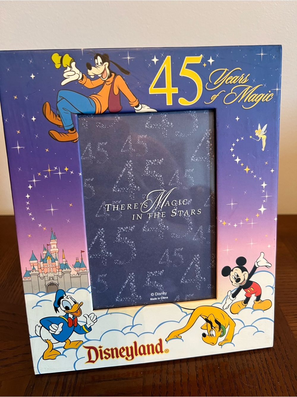 Disneyland photo frame